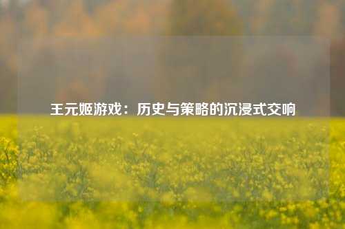王元姬游戏:历史与策略的沉浸式交响